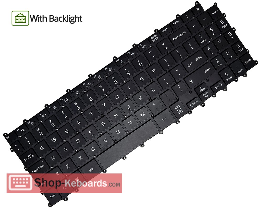 LG 15Z90R-N.APB7U1  Keyboard replacement